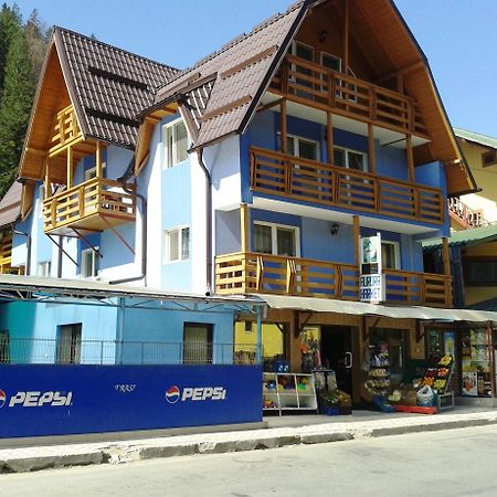 Pensiunea Aurora - Great Hostel Войняса Екстер'єр фото