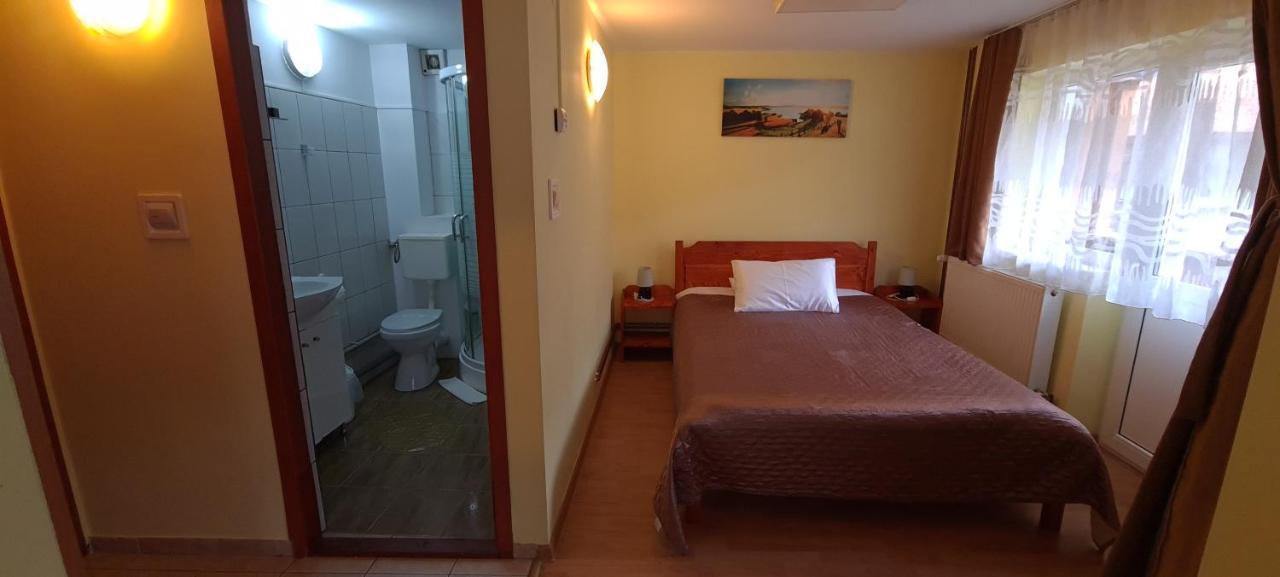 Pensiunea Aurora - Great Hostel Войняса Екстер'єр фото