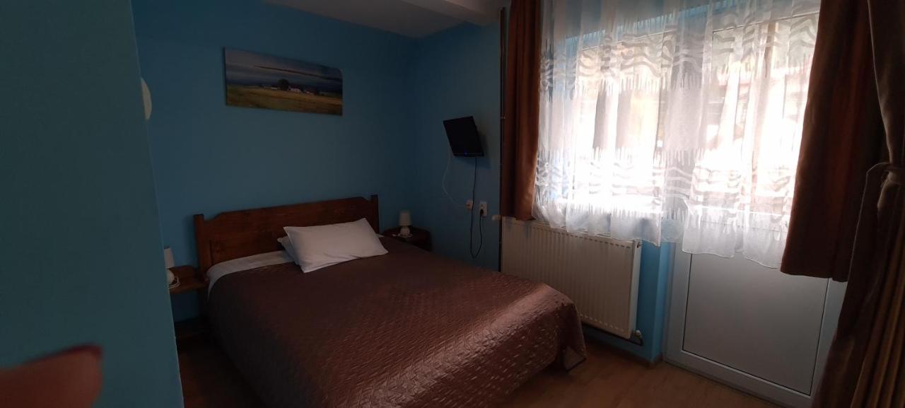 Pensiunea Aurora - Great Hostel Войняса Екстер'єр фото