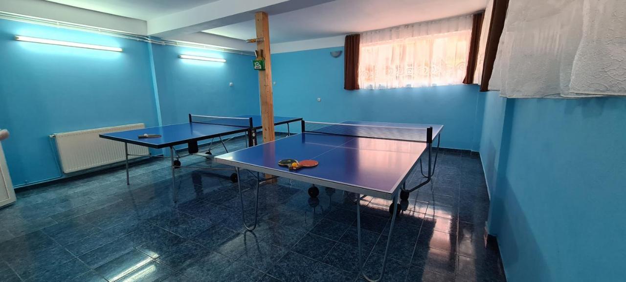 Pensiunea Aurora - Great Hostel Войняса Екстер'єр фото