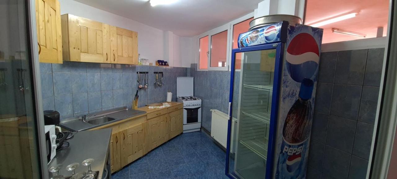 Pensiunea Aurora - Great Hostel Войняса Екстер'єр фото