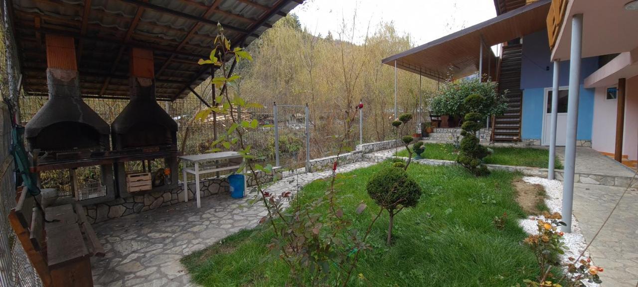 Pensiunea Aurora - Great Hostel Войняса Екстер'єр фото