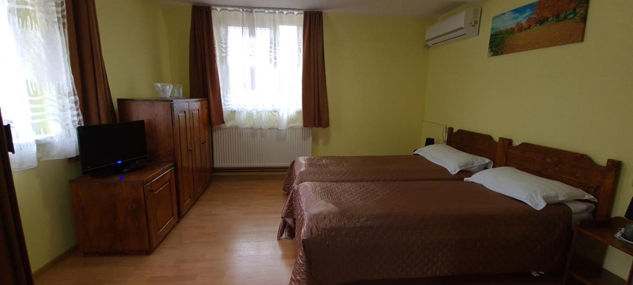 Pensiunea Aurora - Great Hostel Войняса Екстер'єр фото