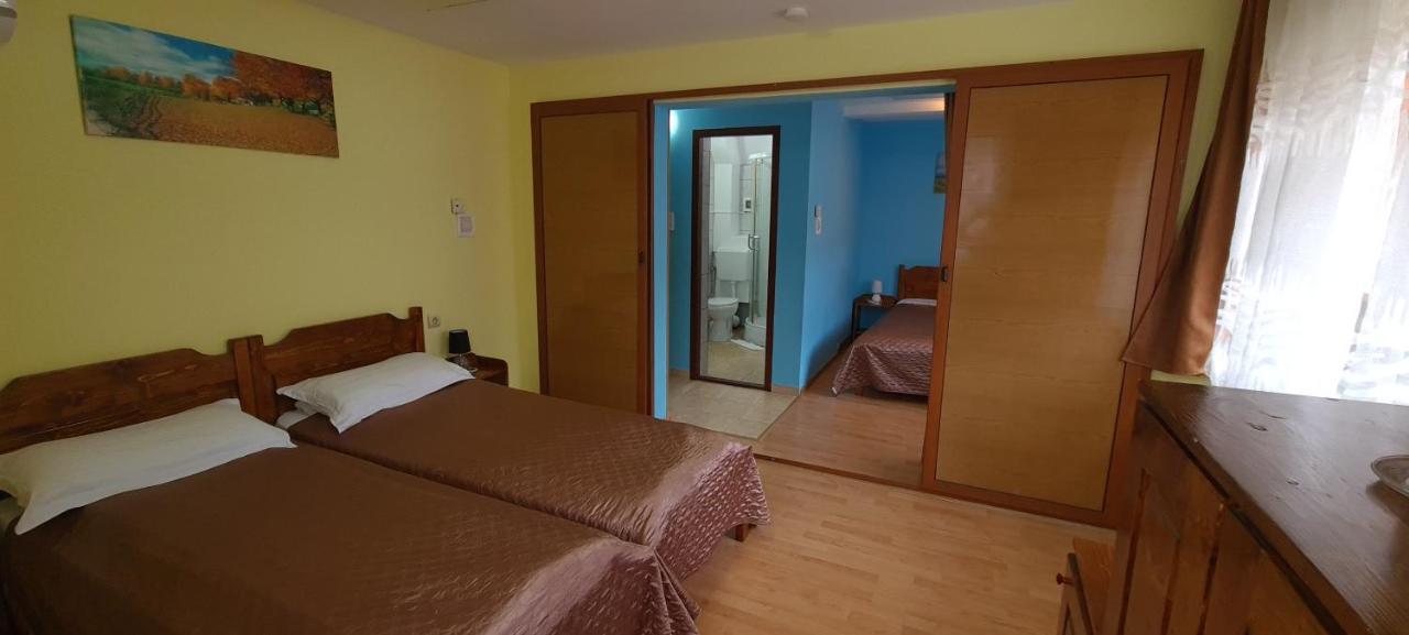 Pensiunea Aurora - Great Hostel Войняса Екстер'єр фото
