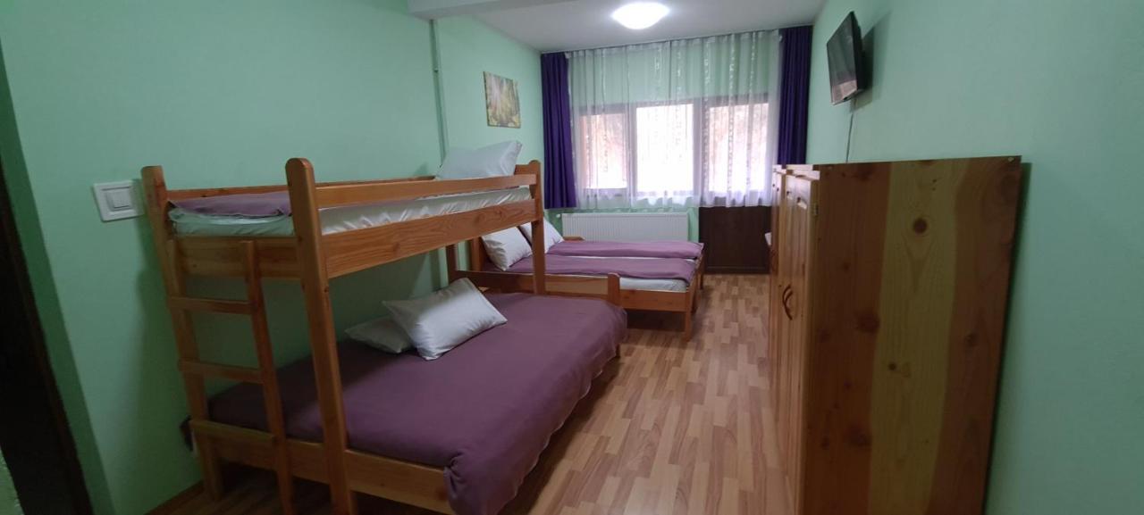 Pensiunea Aurora - Great Hostel Войняса Екстер'єр фото