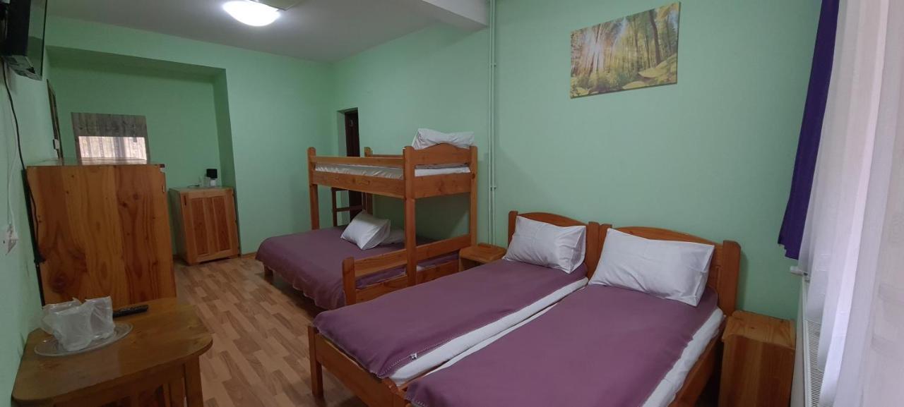Pensiunea Aurora - Great Hostel Войняса Екстер'єр фото
