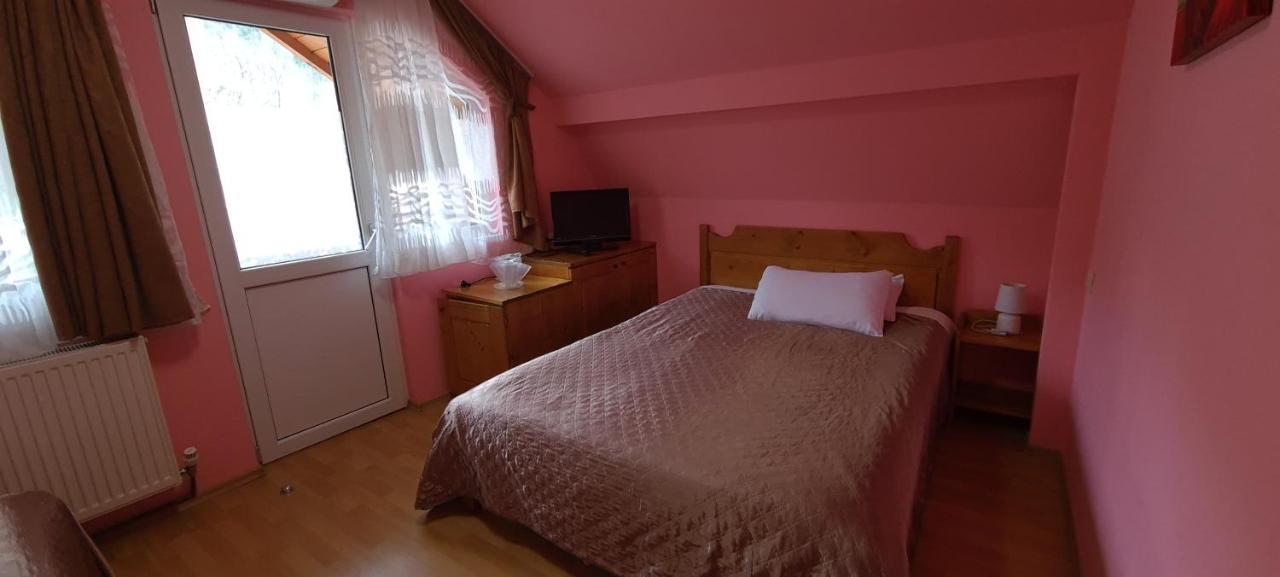 Pensiunea Aurora - Great Hostel Войняса Екстер'єр фото