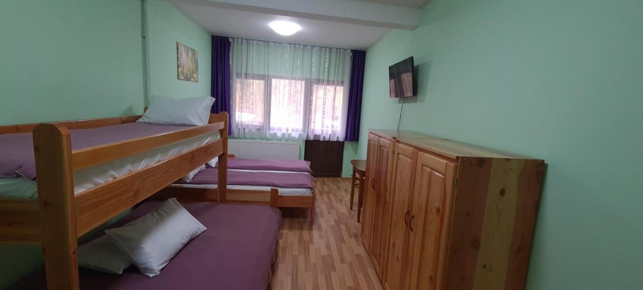 Pensiunea Aurora - Great Hostel Войняса Екстер'єр фото