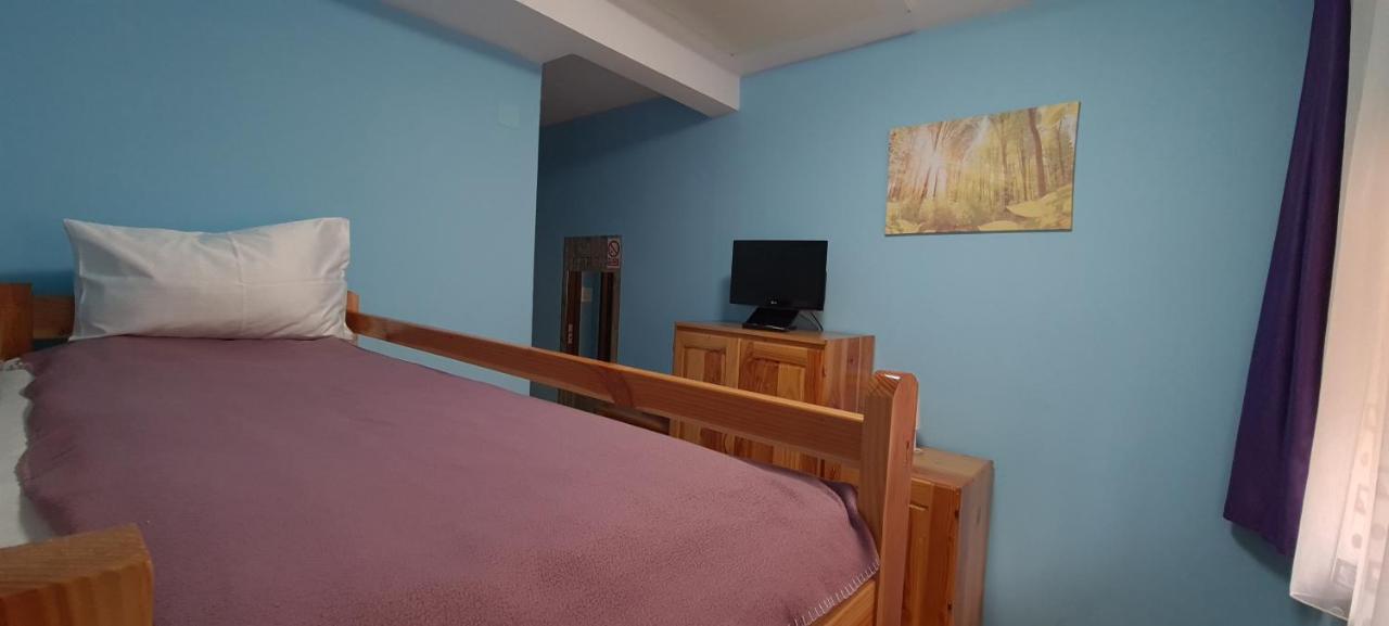 Pensiunea Aurora - Great Hostel Войняса Екстер'єр фото