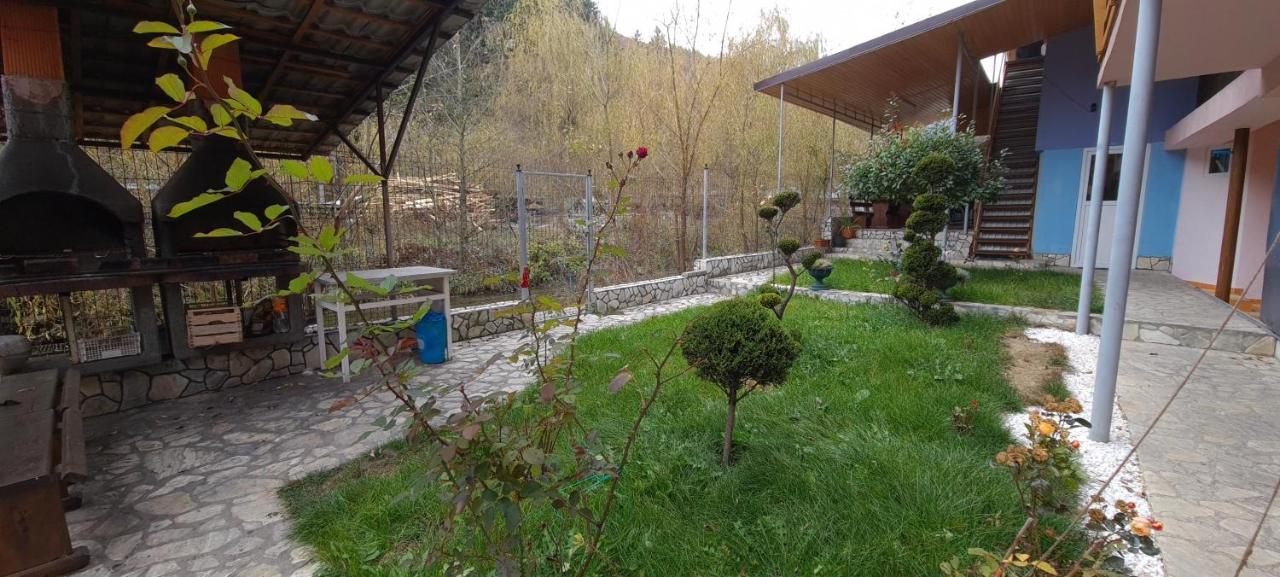 Pensiunea Aurora - Great Hostel Войняса Екстер'єр фото