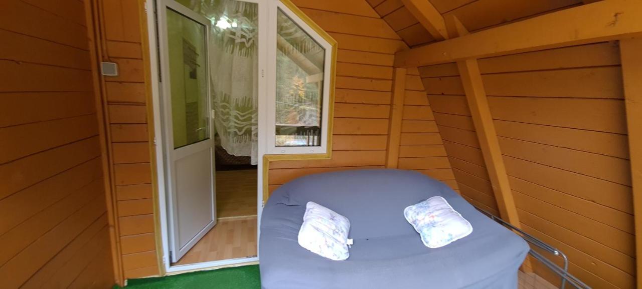 Pensiunea Aurora - Great Hostel Войняса Екстер'єр фото