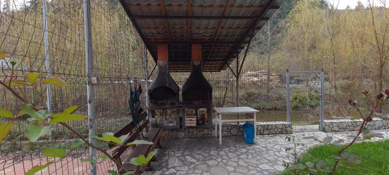 Pensiunea Aurora - Great Hostel Войняса Екстер'єр фото
