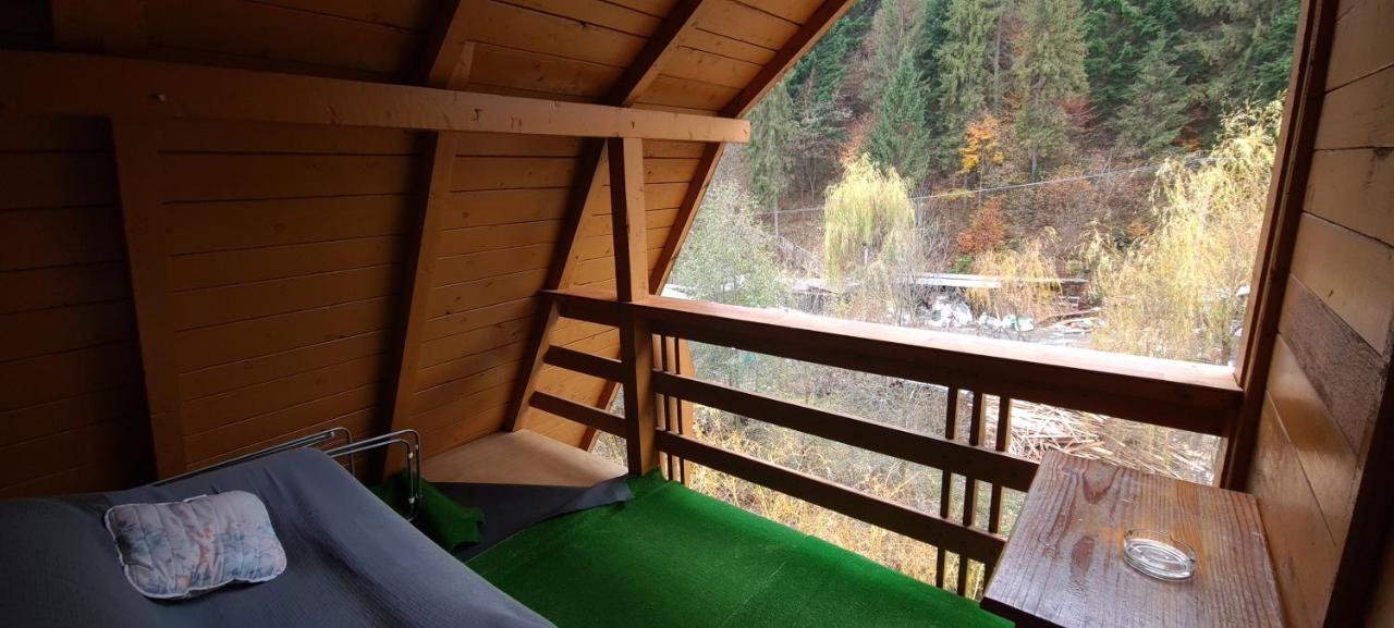 Pensiunea Aurora - Great Hostel Войняса Екстер'єр фото
