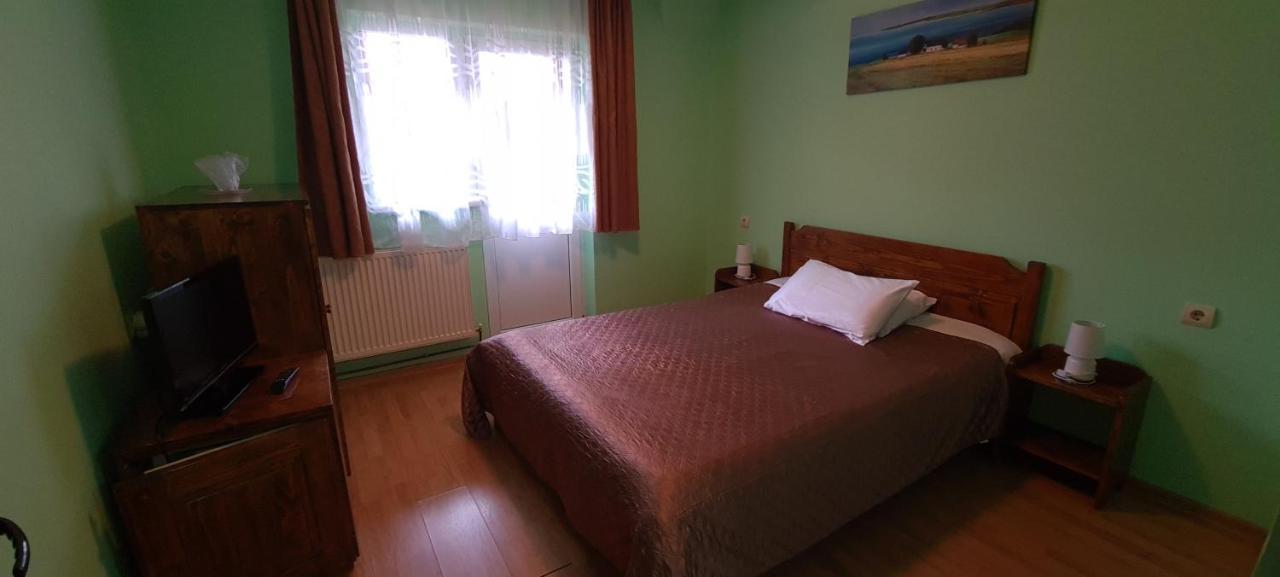 Pensiunea Aurora - Great Hostel Войняса Екстер'єр фото