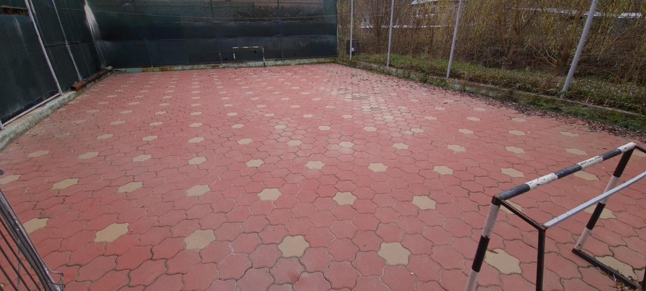 Pensiunea Aurora - Great Hostel Войняса Екстер'єр фото