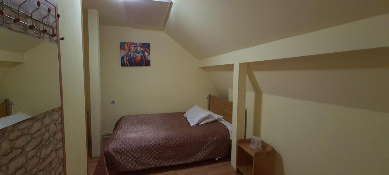 Pensiunea Aurora - Great Hostel Войняса Екстер'єр фото