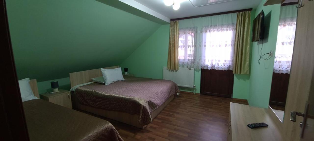 Pensiunea Aurora - Great Hostel Войняса Екстер'єр фото