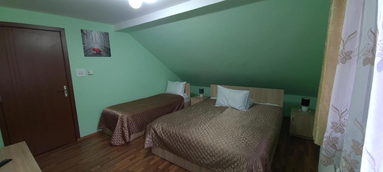 Pensiunea Aurora - Great Hostel Войняса Екстер'єр фото