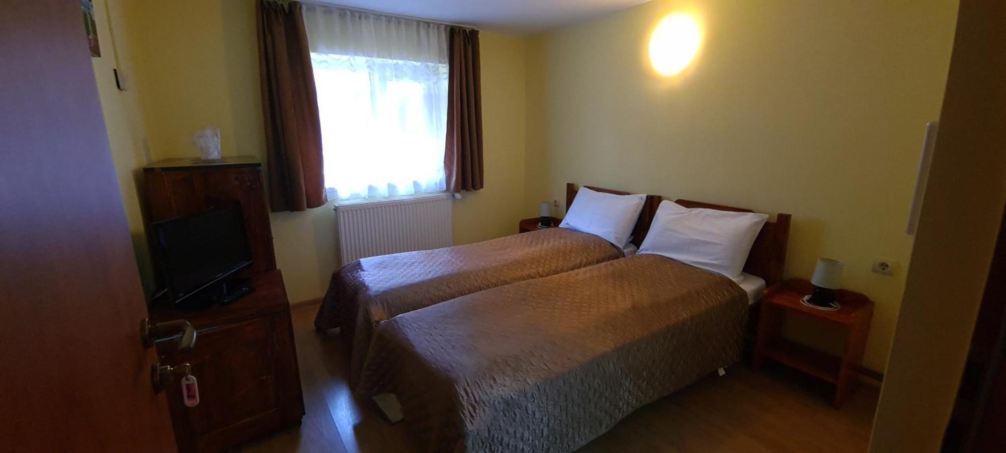 Pensiunea Aurora - Great Hostel Войняса Екстер'єр фото