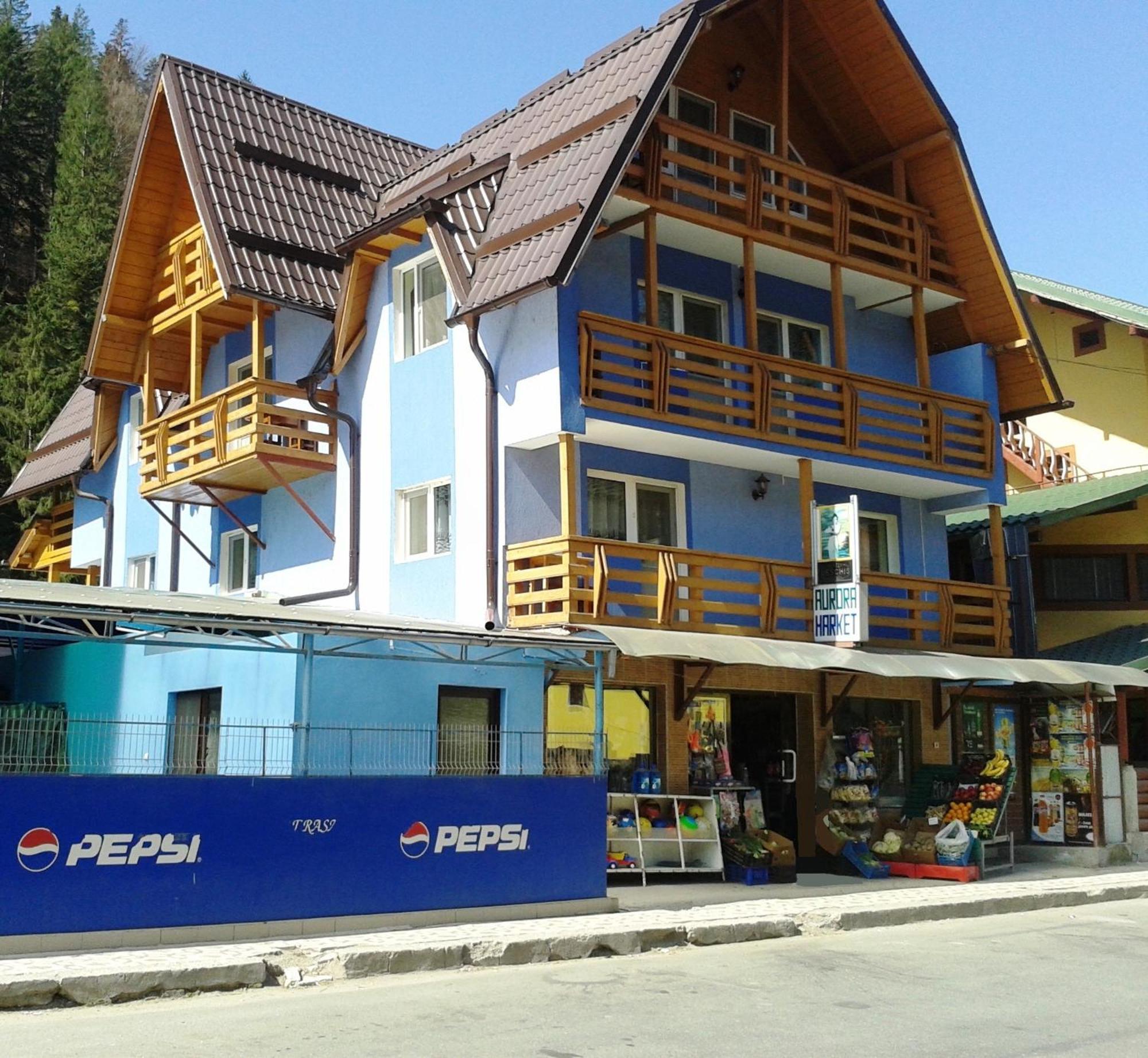 Pensiunea Aurora - Great Hostel Войняса Екстер'єр фото