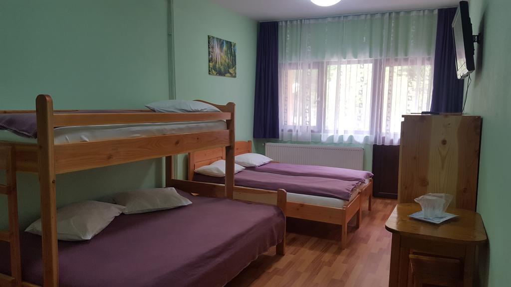 Pensiunea Aurora - Great Hostel Войняса Екстер'єр фото