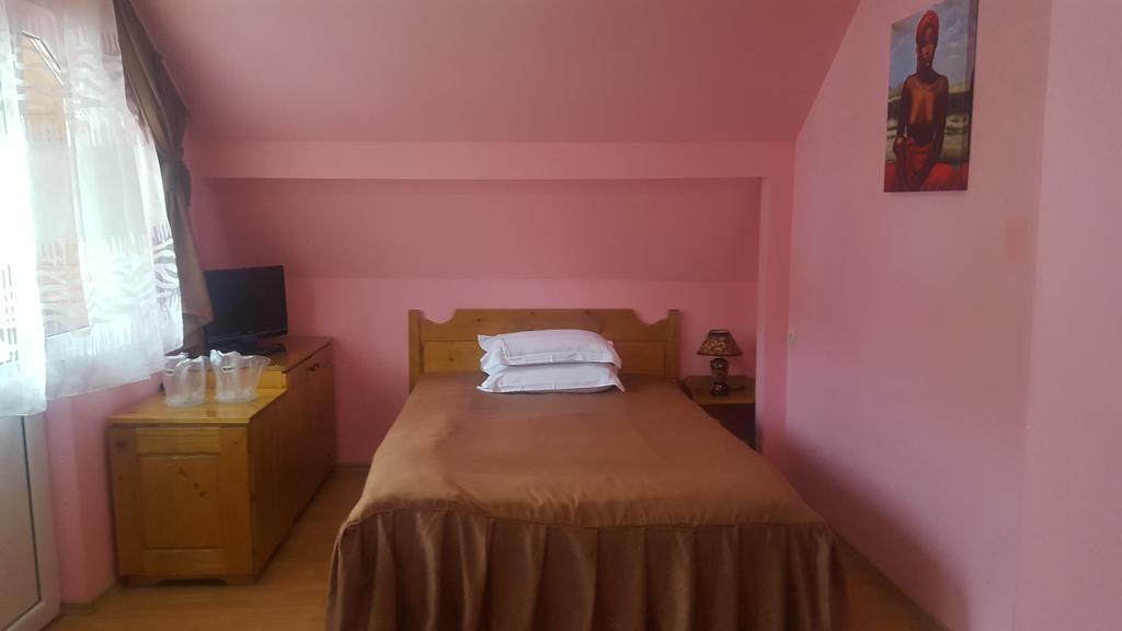 Pensiunea Aurora - Great Hostel Войняса Екстер'єр фото