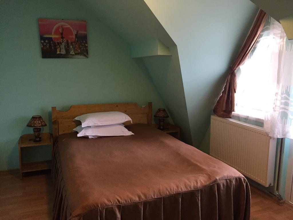 Pensiunea Aurora - Great Hostel Войняса Екстер'єр фото