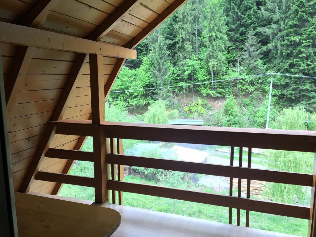 Pensiunea Aurora - Great Hostel Войняса Екстер'єр фото